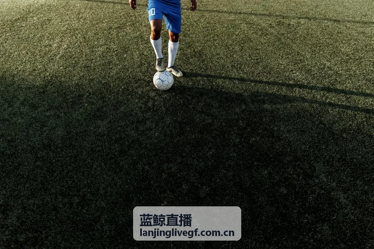 蓝鲸直播会员专属权益服务